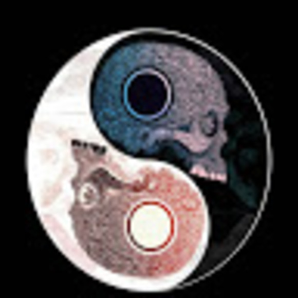 Meet your Posher, Zombie - Picture 1 of 1